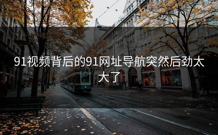 91视频背后的91网址导航突然后劲太大了