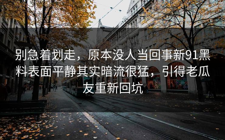 别急着划走,原本没人当回事新91黑料表面平静其实暗流很猛,引得老瓜友重新回坑
