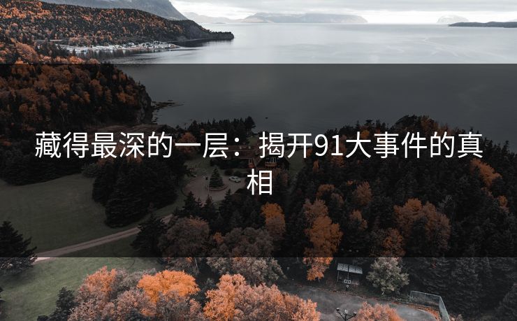 藏得最深的一层：揭开91大事件的真相