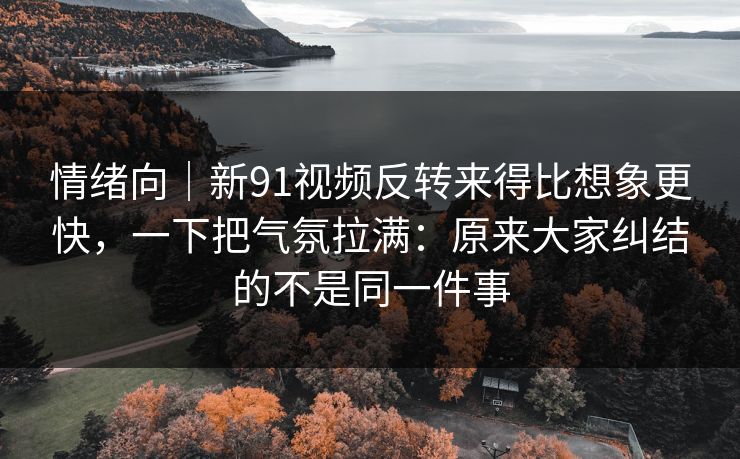 情绪向｜新91视频反转来得比想象更快，一下把气氛拉满：原来大家纠结的不是同一件事