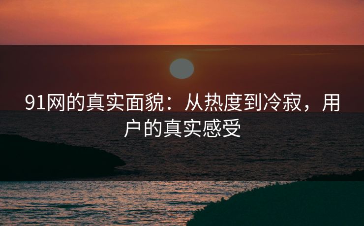 91网的真实面貌：从热度到冷寂，用户的真实感受