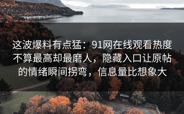 这波爆料有点猛：91网在线观看热度不算最高却最磨人，隐藏入口让原帖的情绪瞬间拐弯，信息量比想象大