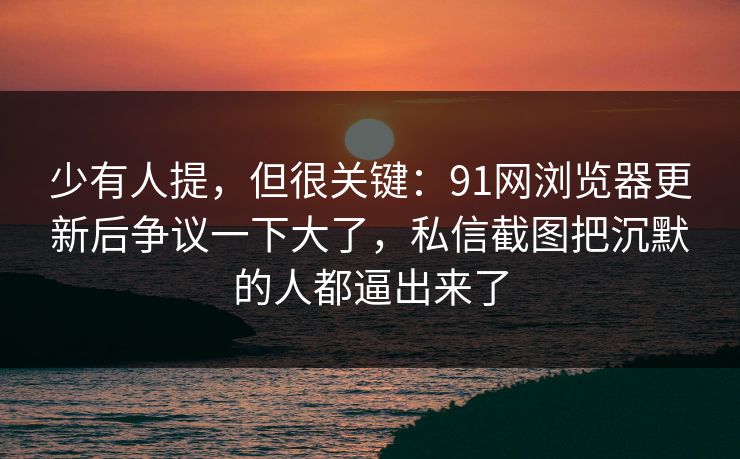 少有人提,但很关键:91网浏览器更新后争议一下大了,私信截图把沉默的人都逼出来了